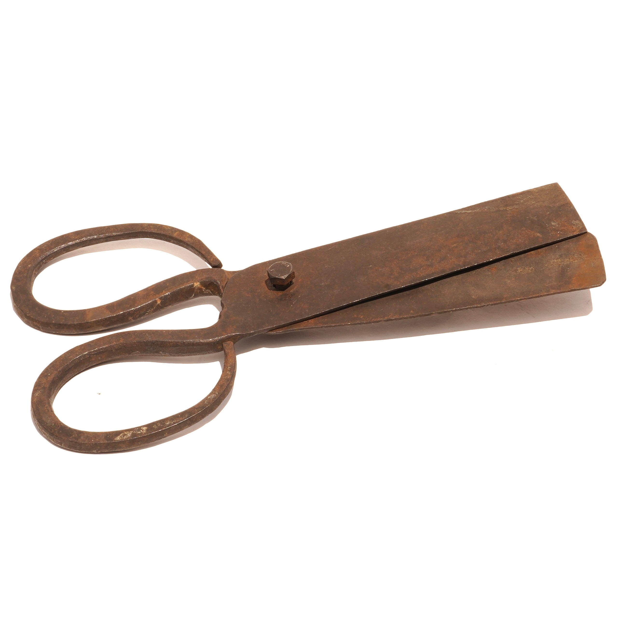 Oversized Block Scissor