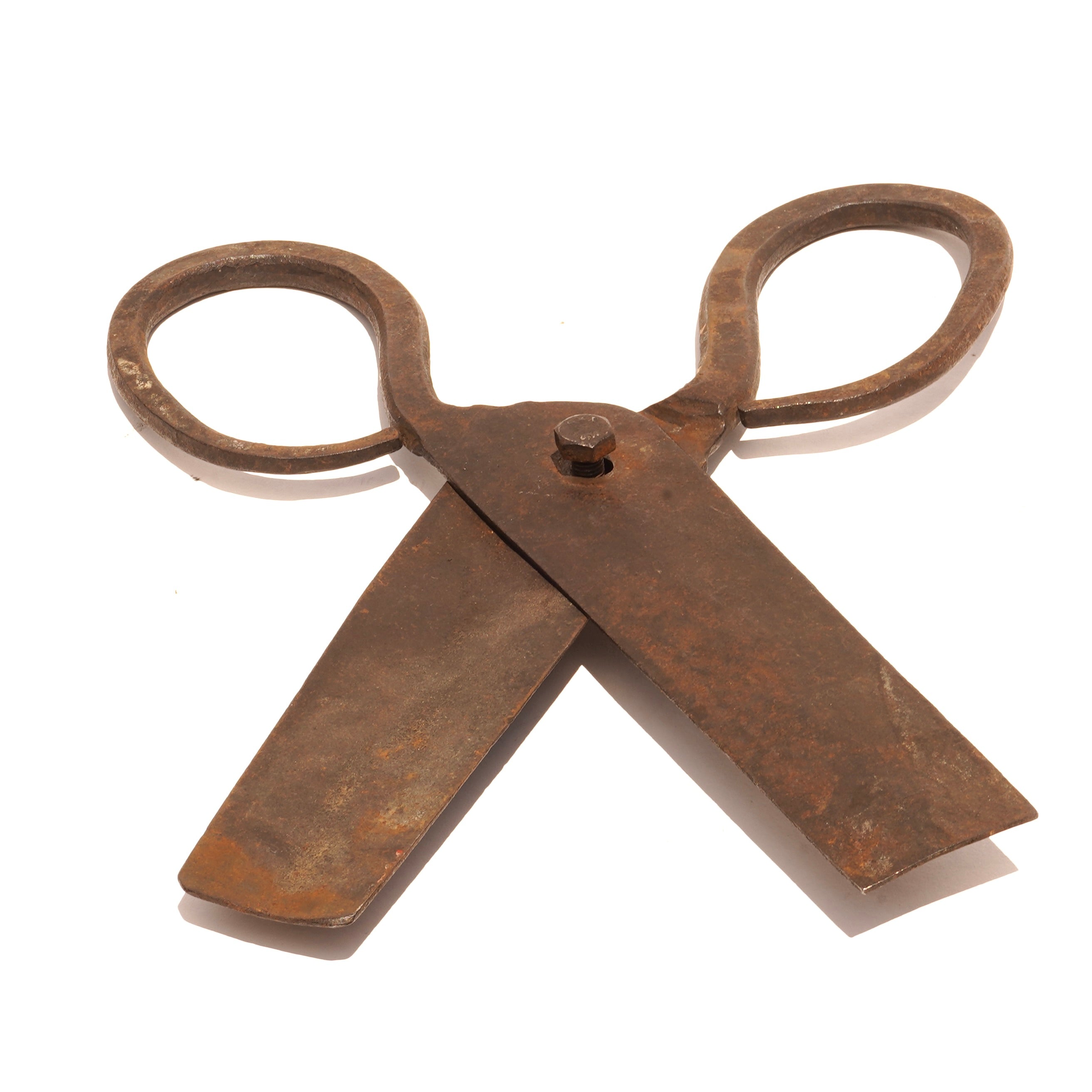 Oversized Block Scissor