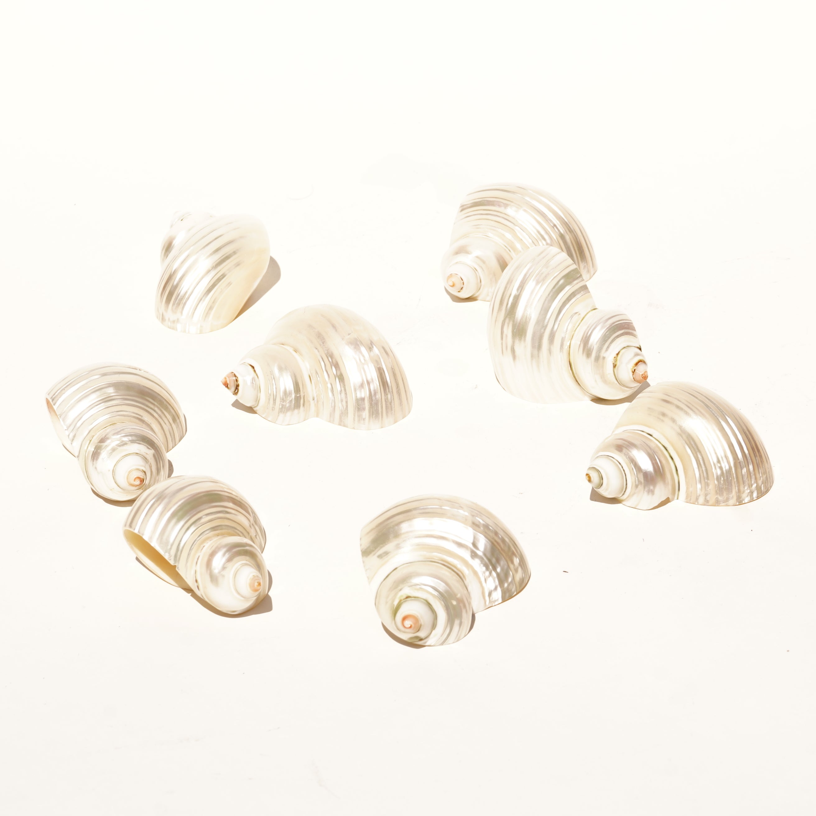 Seashell Napkin Holder Set