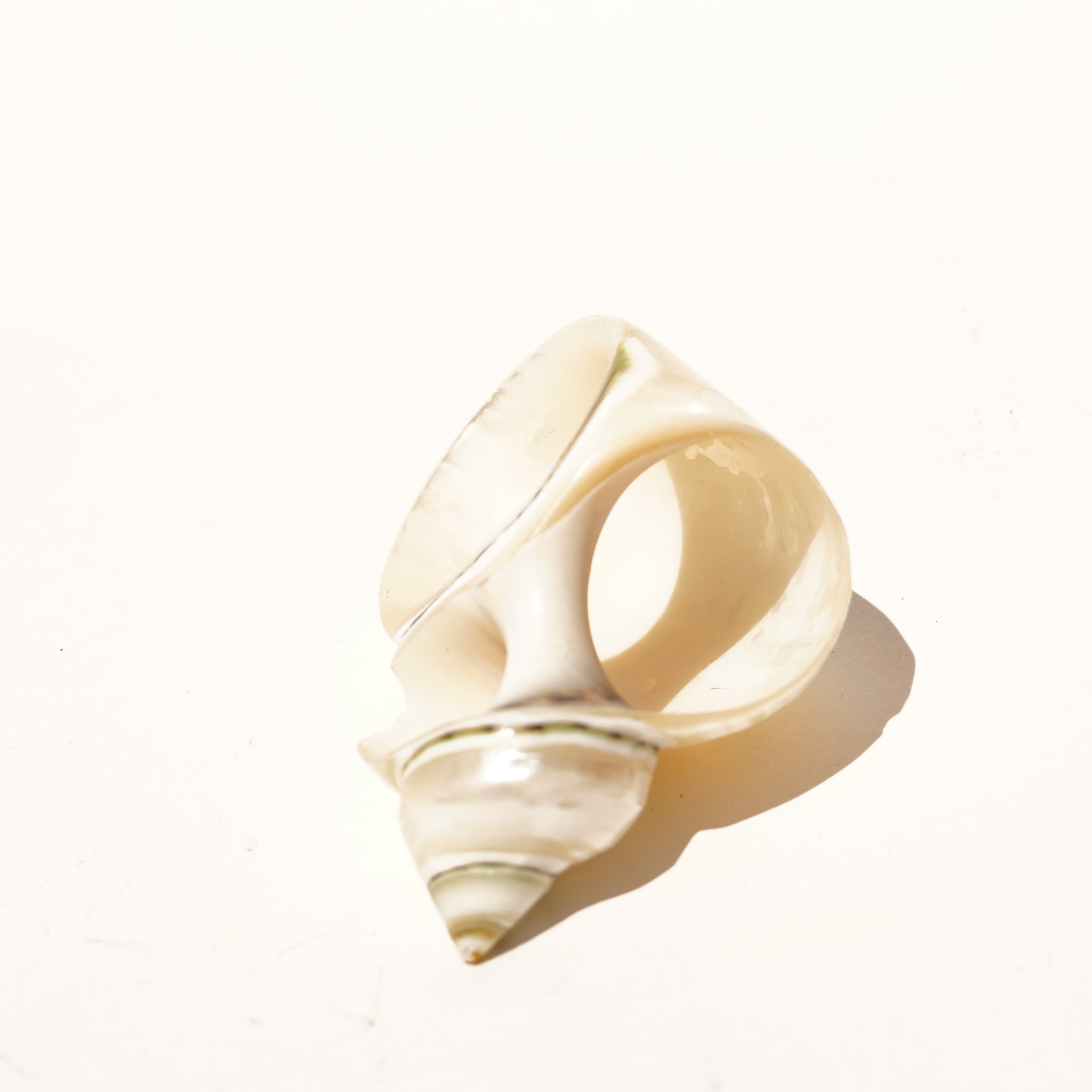 Seashell Napkin Holder Set